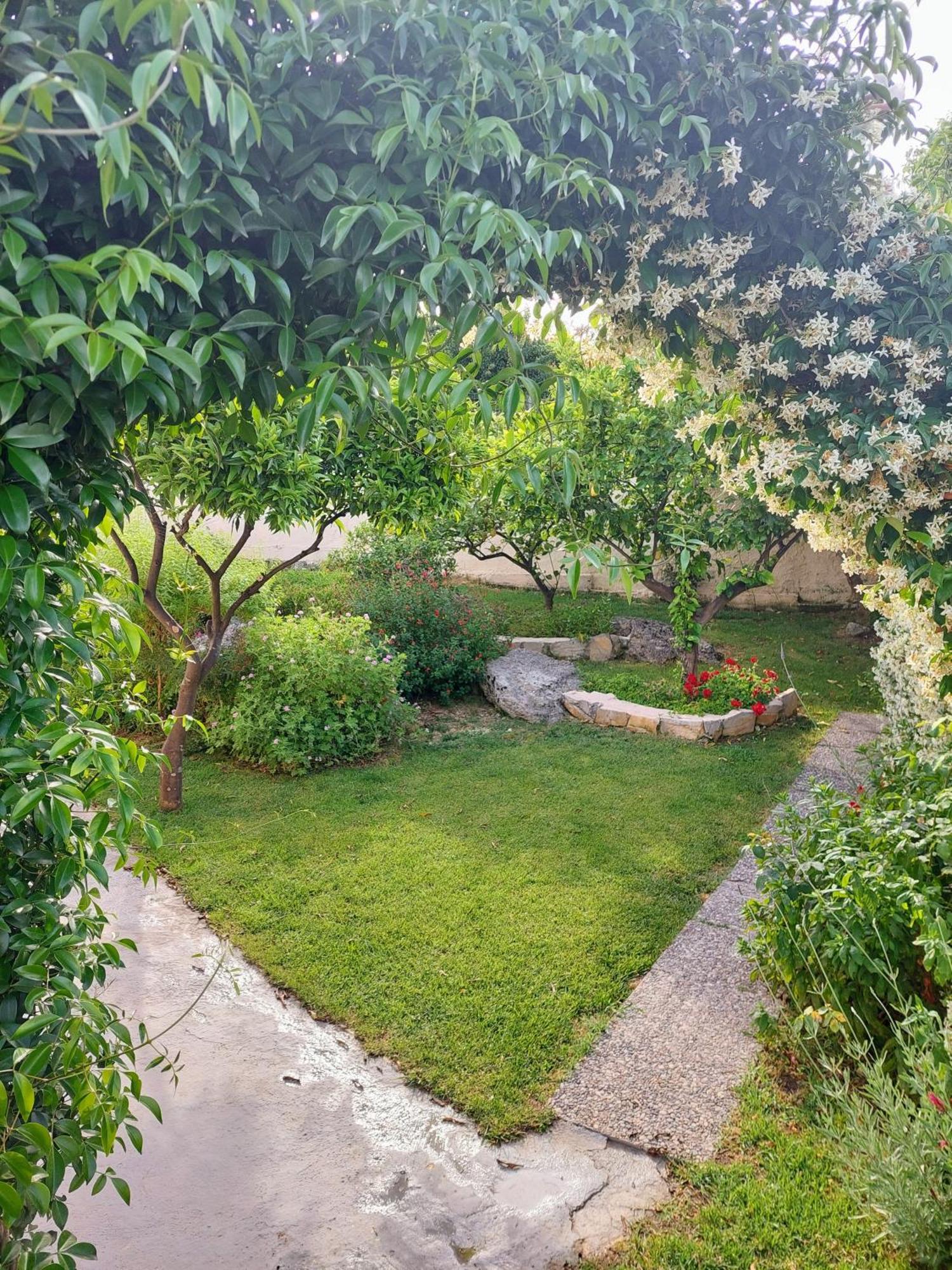 Summer Village House Popi Kanakades Bagian luar foto